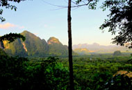 Khaosok tours with Khao Sok Tree House Thailand